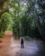 Feeling Stuck? How to Move Past a Dilemma and Make a Confident Decision by Angelica Esposito | EMDR Therapy in Burlington and across Ontario